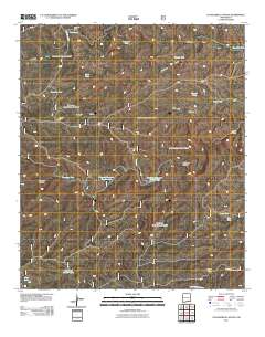 Packsaddle Canyon 2011 topographic map thumbnail