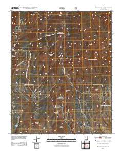 Bear Springs Peak 2011 topographic map thumbnail