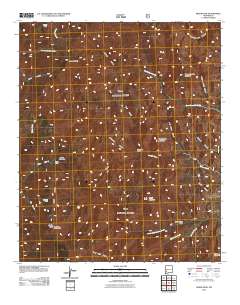 Reeds Peak 2011 topographic map thumbnail