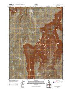 Indian Hot Springs 2010 topographic map thumbnail