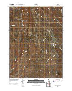 Indian Meadows 2010 topographic map thumbnail