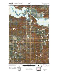 Benewah Lake 2010 topographic map thumbnail
