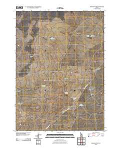 Brigham Point 2010 topographic map thumbnail