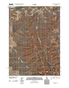 Badger Peak 2010 topographic map thumbnail