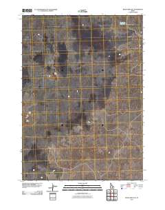 Bear Park East 2010 topographic map thumbnail