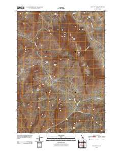 Lone Pine Peak 2010 topographic map thumbnail