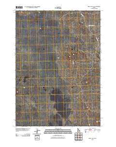 Pratt Butte 2010 topographic map thumbnail