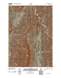 Riley Butte 2010 topographic map thumbnail
