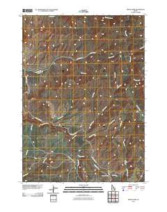 Miner Creek 2010 topographic map thumbnail