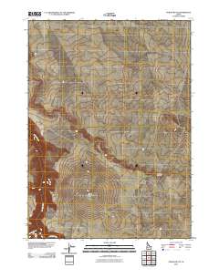 Poison Butte 2010 topographic map thumbnail