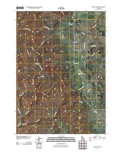 Poison Creek 2010 topographic map thumbnail