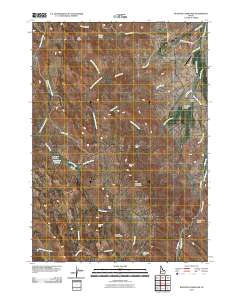 Rooster Comb Peak 2010 topographic map thumbnail