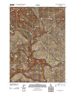 Wagon Box Basin 2010 topographic map thumbnail