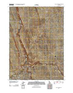 Salls Crossing 2010 topographic map thumbnail