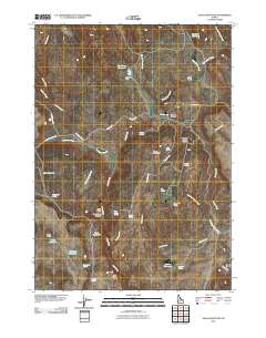 Slack Mountain 2010 topographic map thumbnail