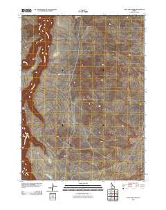 Stiff Tree Draw 2010 topographic map thumbnail
