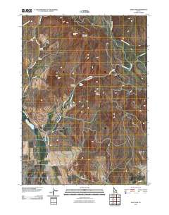 Swan Lake 2010 topographic map thumbnail