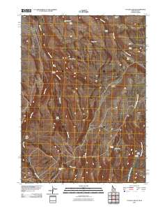 Taylor Canyon 2010 topographic map thumbnail