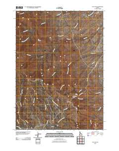 Toy Pass 2010 topographic map thumbnail