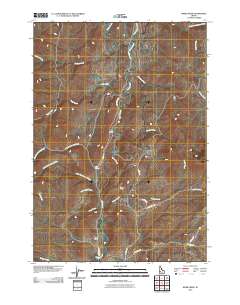 Webb Creek 2010 topographic map thumbnail