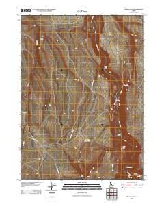 Triplet Butte 2010 topographic map thumbnail