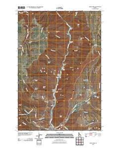 White Bird 2010 topographic map thumbnail