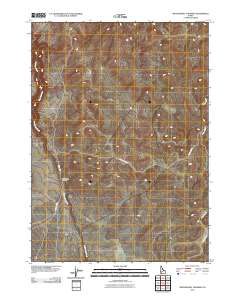 Wickahoney Crossing 2010 topographic map thumbnail