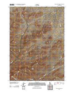 Rough Mountain 2010 topographic map thumbnail