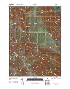 Paradise Valley 2010 topographic map thumbnail