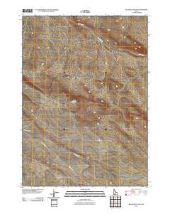 Black Butte East 2010 topographic map thumbnail