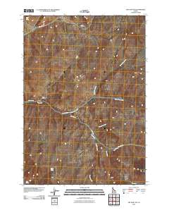 The Paint Pot 2010 topographic map thumbnail