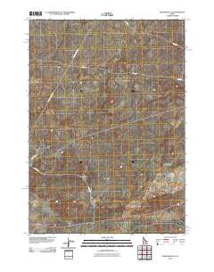 Ryegrass Flat 2010 topographic map thumbnail