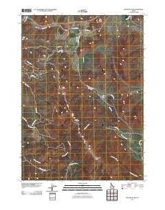 Sedgwick Peak 2010 topographic map thumbnail