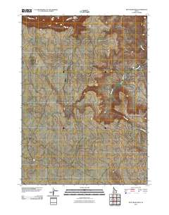 Piute Basin West 2010 topographic map thumbnail