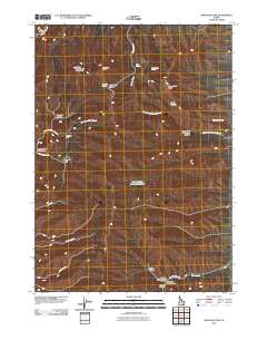 Bannock Peak 2010 topographic map thumbnail