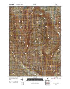 Davis Mountain 2010 topographic map thumbnail