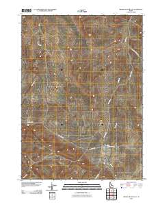 Broken Wagon Flat 2010 topographic map thumbnail