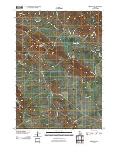 Homer Valley 2010 topographic map thumbnail