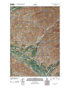 East of Salmon 2010 topographic map thumbnail
