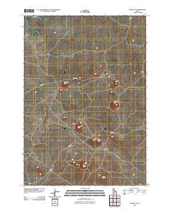 Pine Butte 2010 topographic map thumbnail