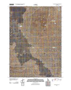 Laidlaw Butte 2010 topographic map thumbnail