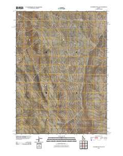 Coonskin Butte NE 2010 topographic map thumbnail
