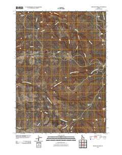 Bedstead Ridge 2010 topographic map thumbnail