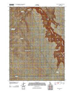 Coyote Hole 2010 topographic map thumbnail