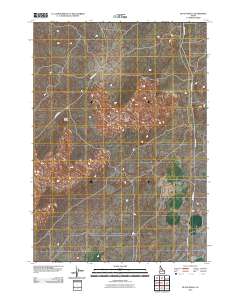 Black Knoll 2010 topographic map thumbnail