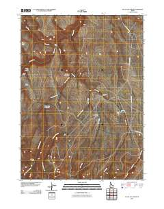 Black Leg Creek 2010 topographic map thumbnail