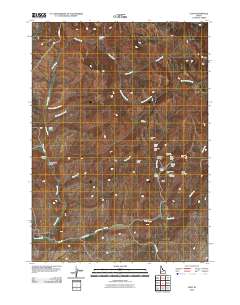 Flint 2010 topographic map thumbnail