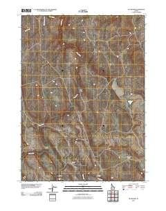 Buckhorn 2010 topographic map thumbnail