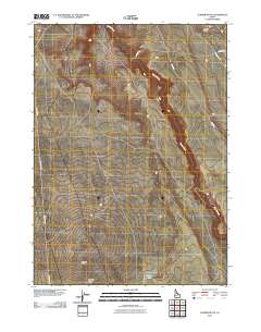 Juniper Butte 2010 topographic map thumbnail