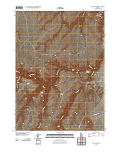 Hill Pasture 2010 topographic map thumbnail